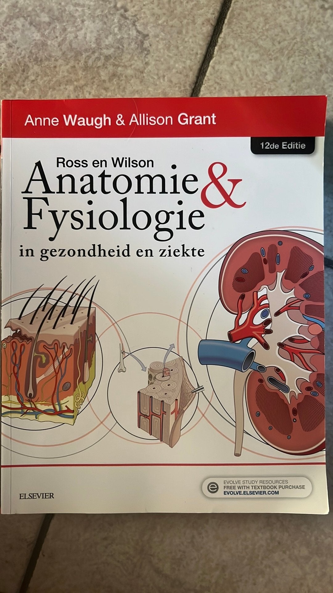 Leerboeken Vives Kortrijk  verpleegkunde, Boeken, Studieboeken en Cursussen, Ophalen, Nieuw, Hoger Onderwijs