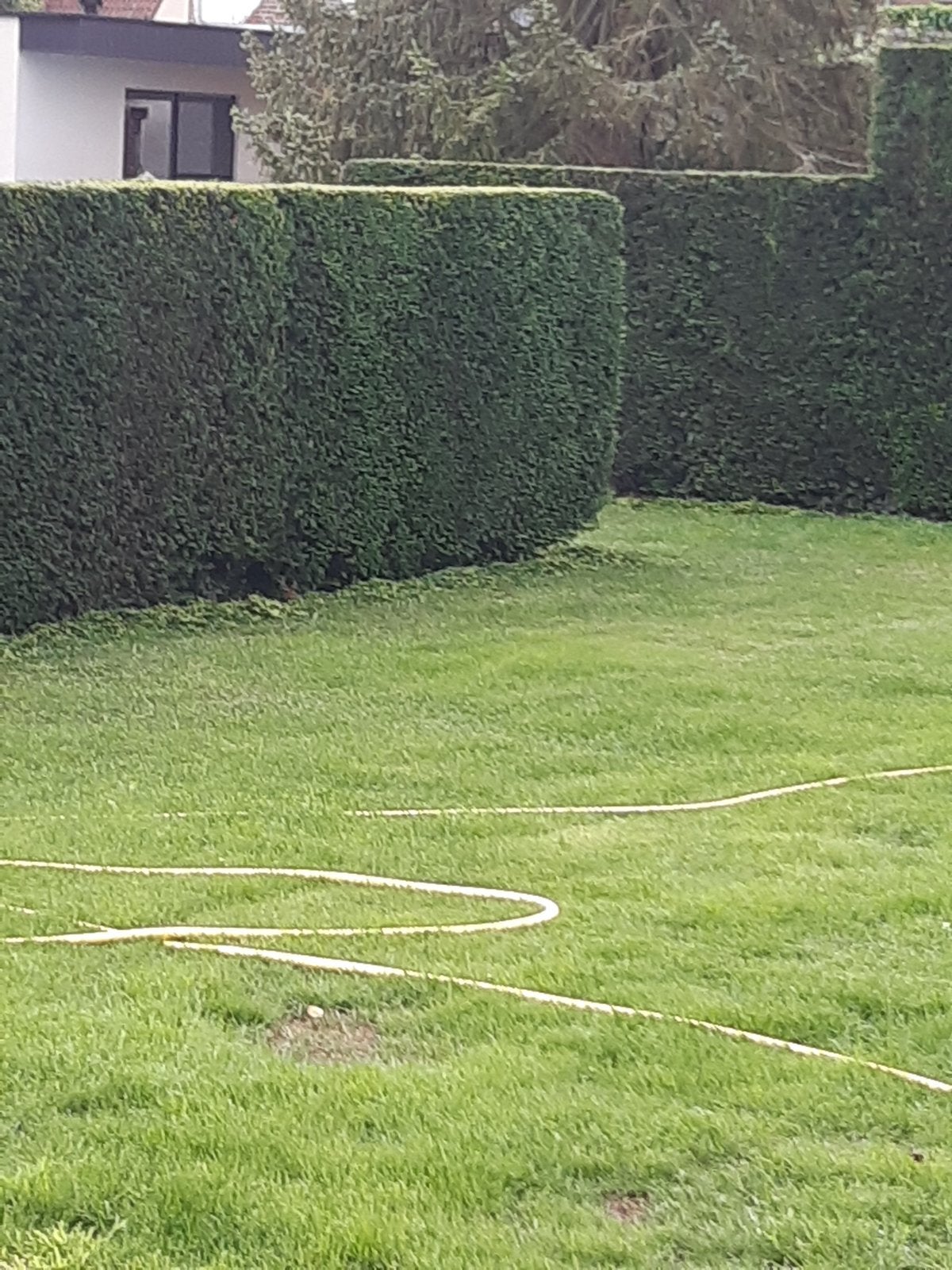 Tuin, Enlèvement, Comme neuf