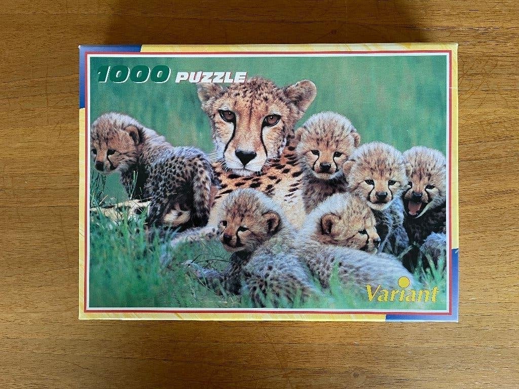puzzel Cheetah familie Zuid-Afrika 1000pc, Ophalen of Verzenden, 500 t/m 1500 stukjes, Nieuw, Legpuzzel
