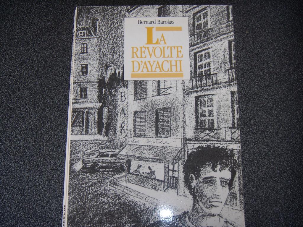 La révolte d'Ayachi - Bernard Barokas, Livres, Langue | Français, Enlèvement ou Envoi, Utilisé