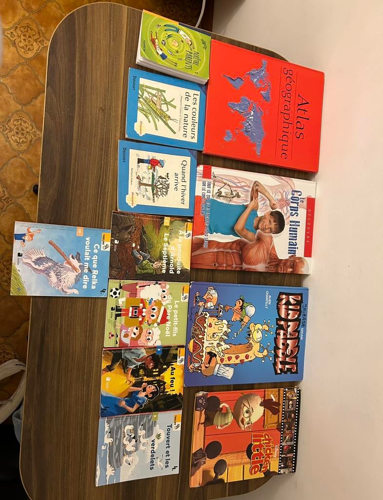 Lots de livres en bon état, Ophalen, Gelezen, Verschillende onderwerpen