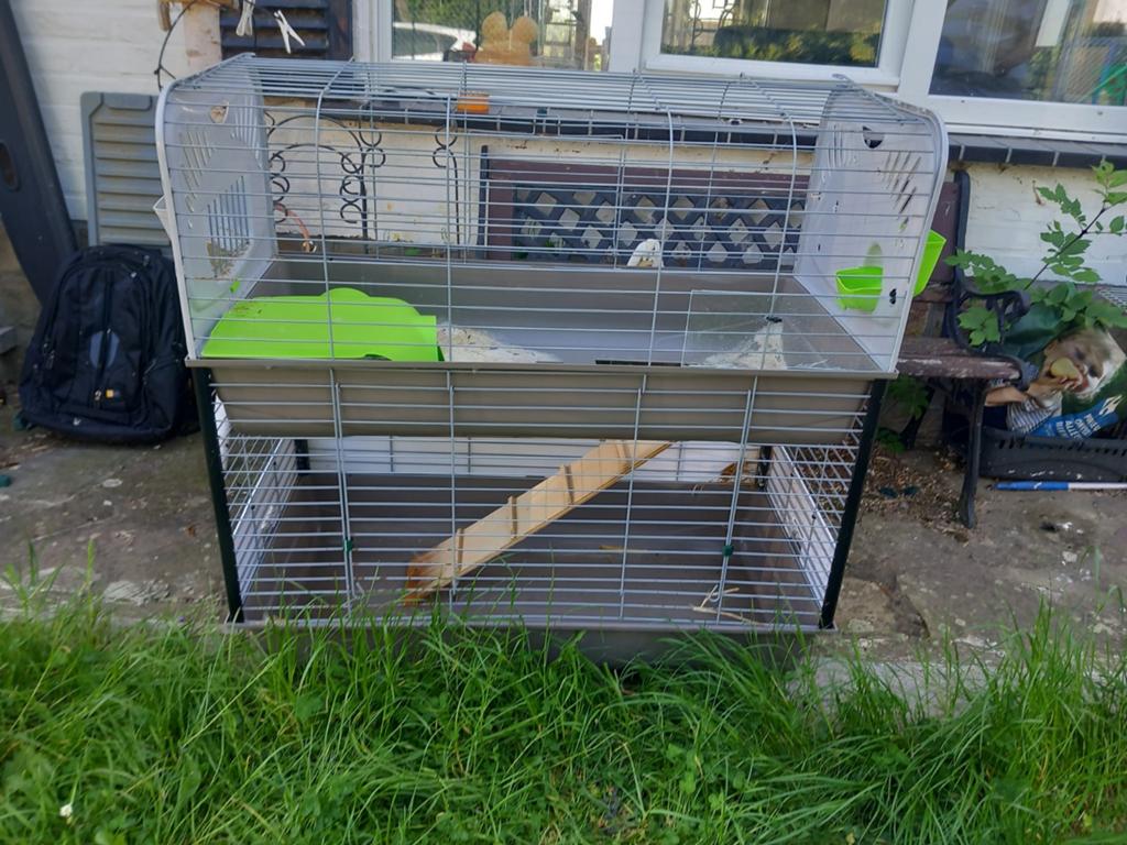 Cage à lapins double Savic Caesar, 90 cm ou plus, 75 à 110 cm, Enlèvement, Utilisé