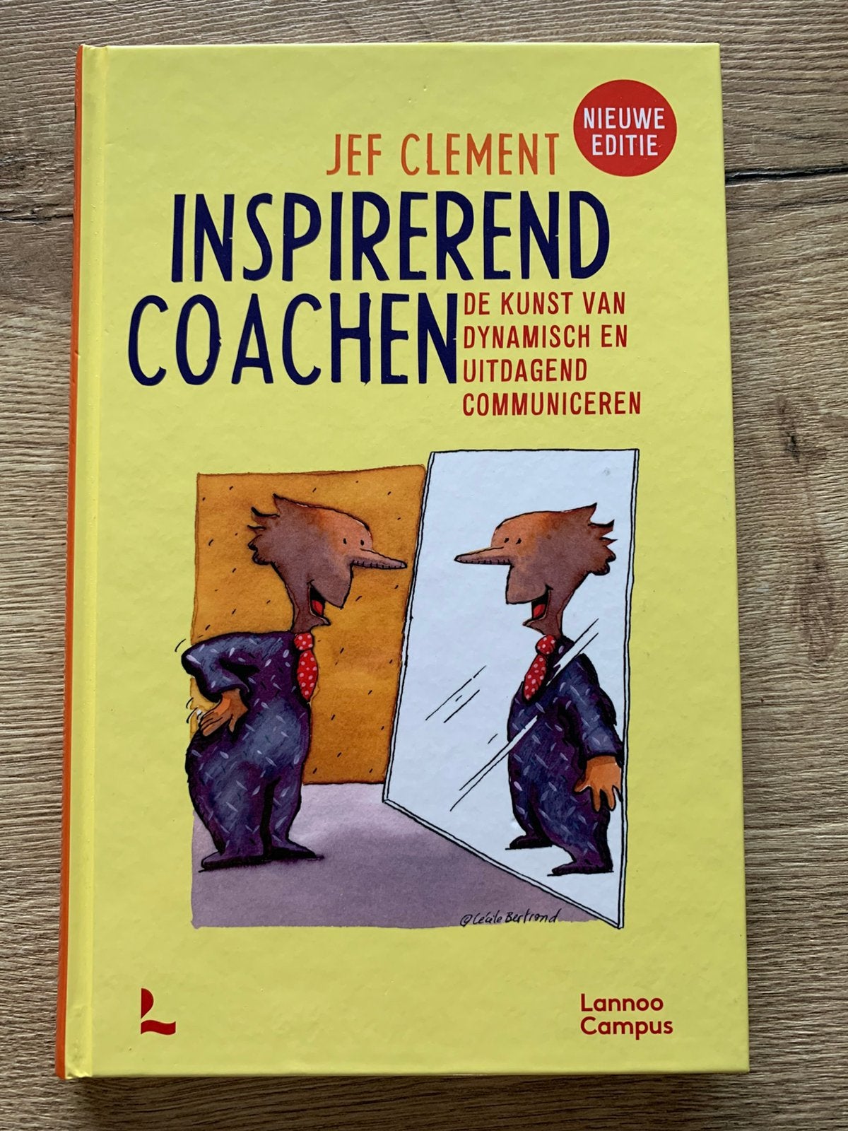 Jef Clement, Inspirerend coachen, Livres, Psychologie, Enlèvement, Comme neuf