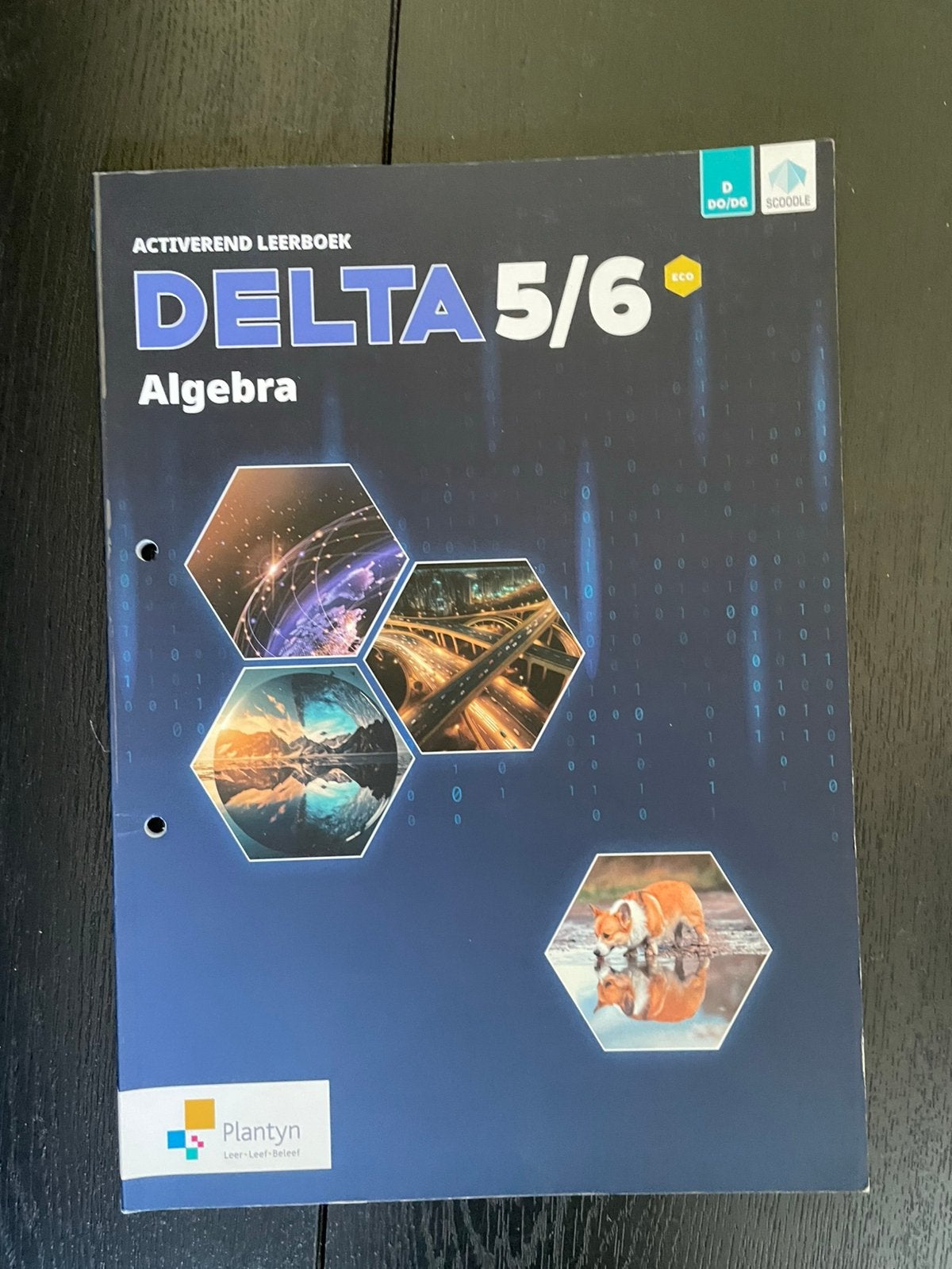 DELTA 5/6 algebra, Boeken, ASO, Wiskunde A, Plantyn, Ophalen