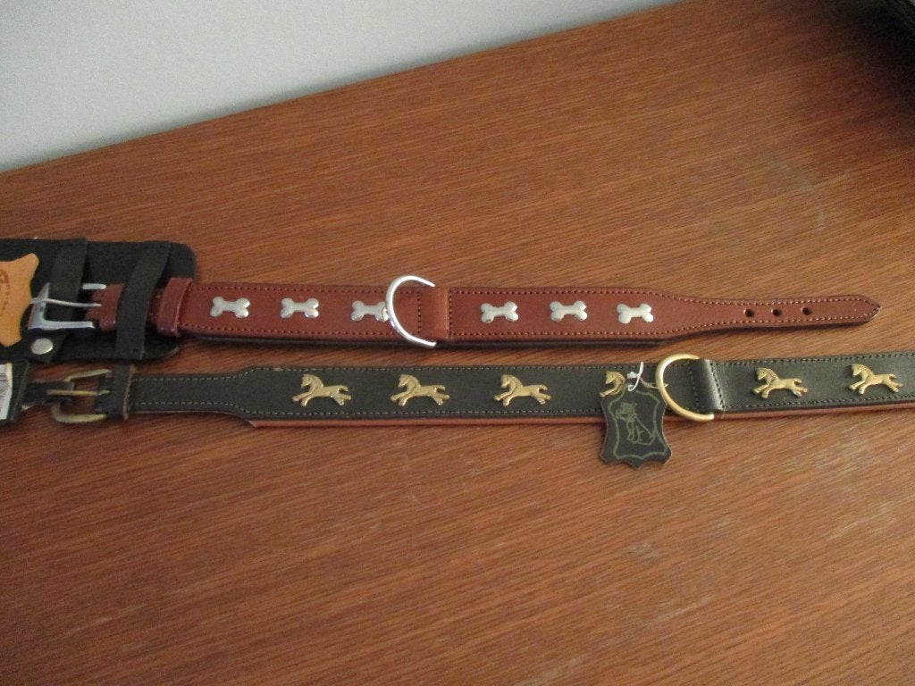halsband voor hond, Ophalen of Verzenden, Nieuw
