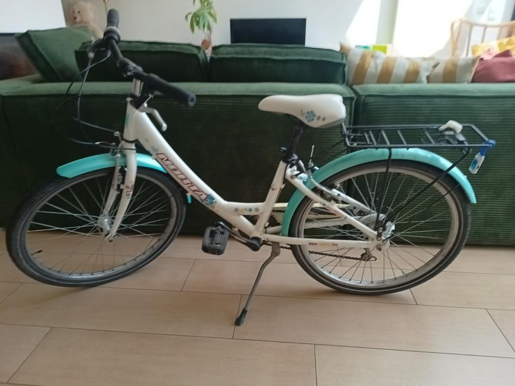 Norta alloy 6061, Fietsen en Brommers, Ophalen