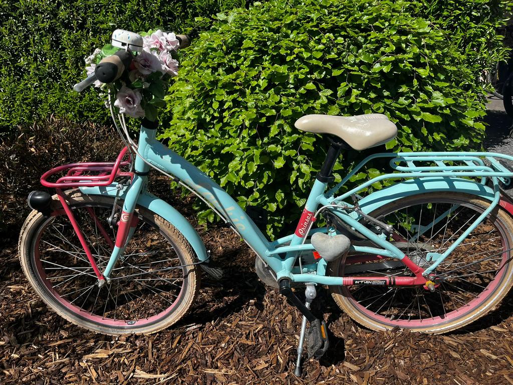 Meisjesfiets 22 inch, Fietsen en Brommers, Ophalen, Gebruikt, Terugtraprem, 22 inch