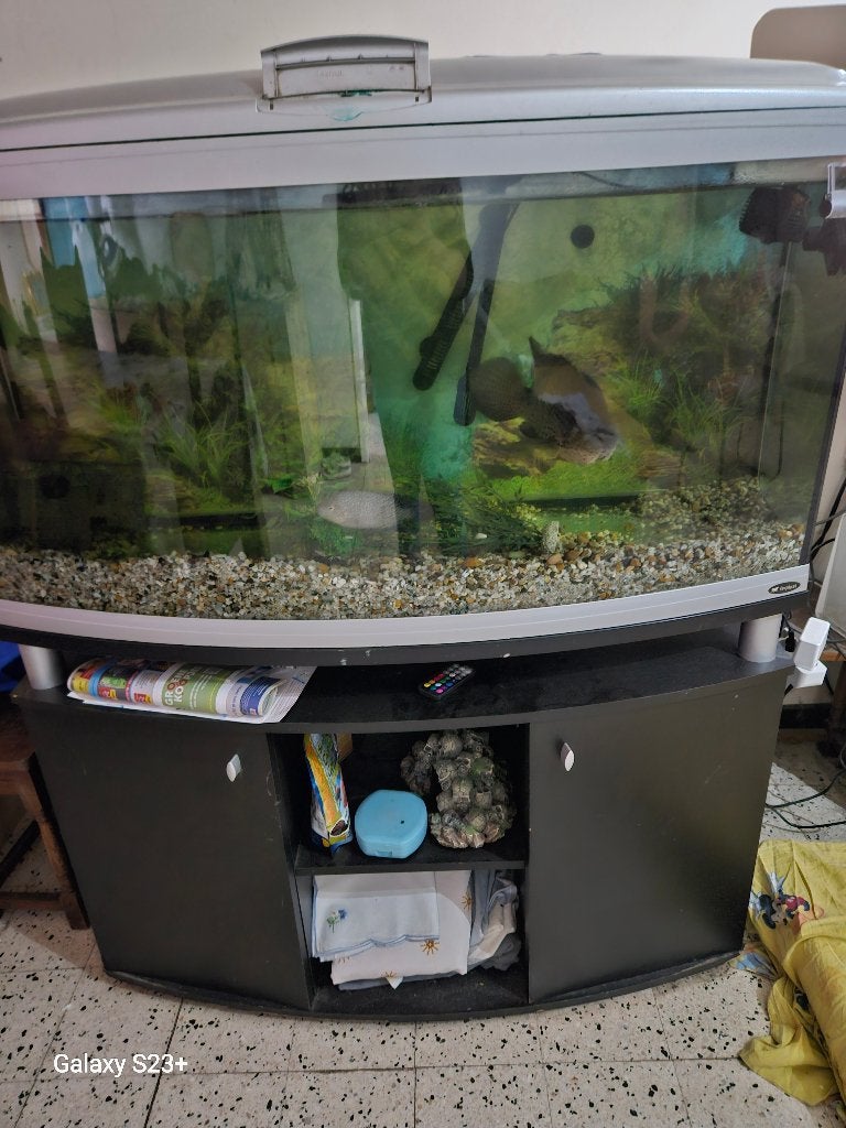 Aquarium, Ophalen, Gebruikt, Inclusief vissen, Aquariummeubel