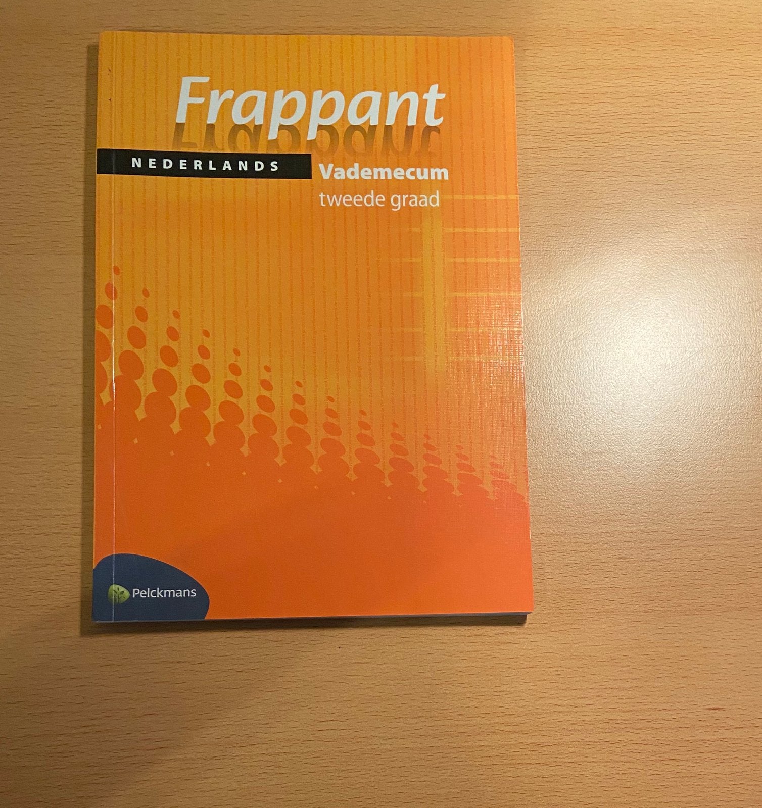 Frappant Nederlands Vademecum tweede graad, Boeken, Ophalen of Verzenden, Zo goed als nieuw