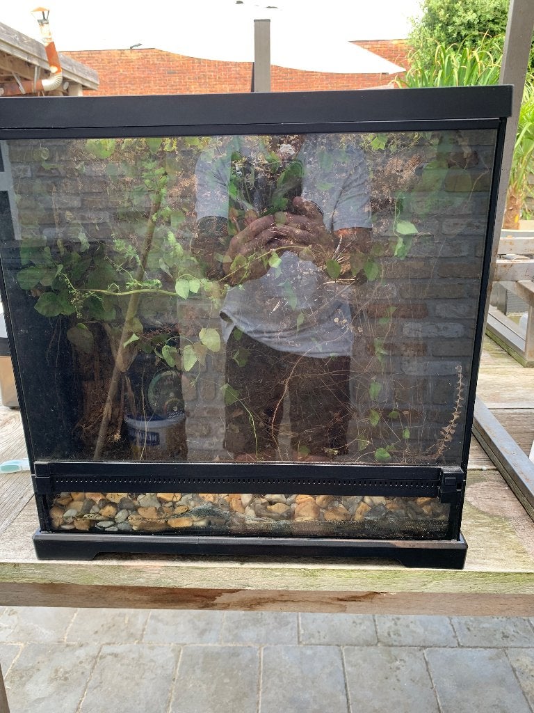 Paludarium, Ophalen, Gebruikt