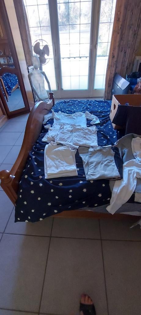 Vend une  caise de blouses  femme prix 15 euros, Enlèvement ou Envoi