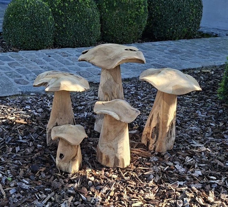 Mooi deco paddestoelen., Ophalen, Zo goed als nieuw