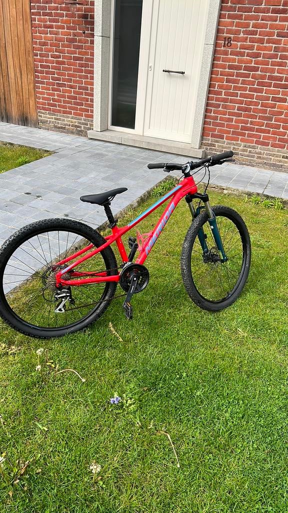 Mountain bike, Fietsen en Brommers, Ophalen, Gebruikt