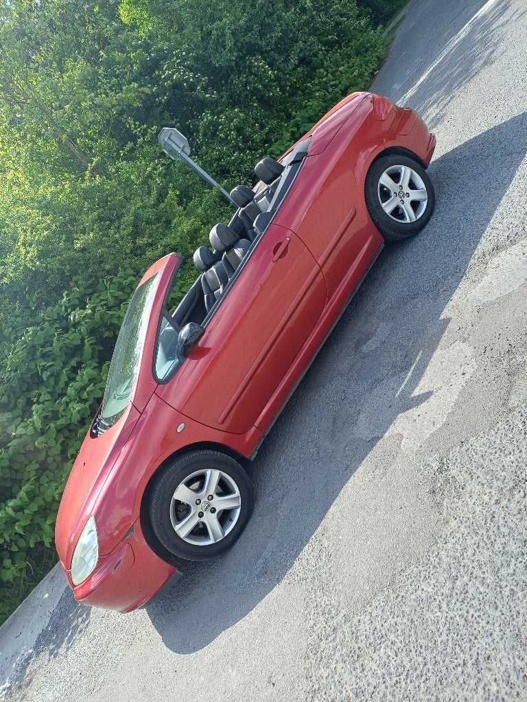 307cc, Auto's, Peugeot, Zwart, Cabriolet, Leder, Bedrijf