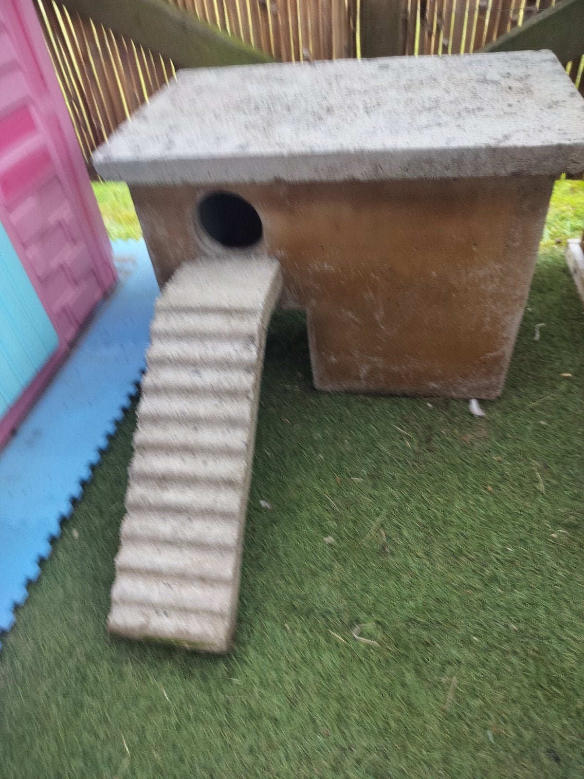 Broedhok in beton voor siereenden, Dieren en Toebehoren, Pluimvee | Toebehoren, Ophalen of Verzenden
