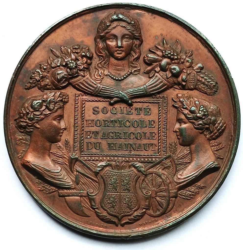 médaille de la société horticole et agricole du Hainaut, Enlèvement ou Envoi, Bronze