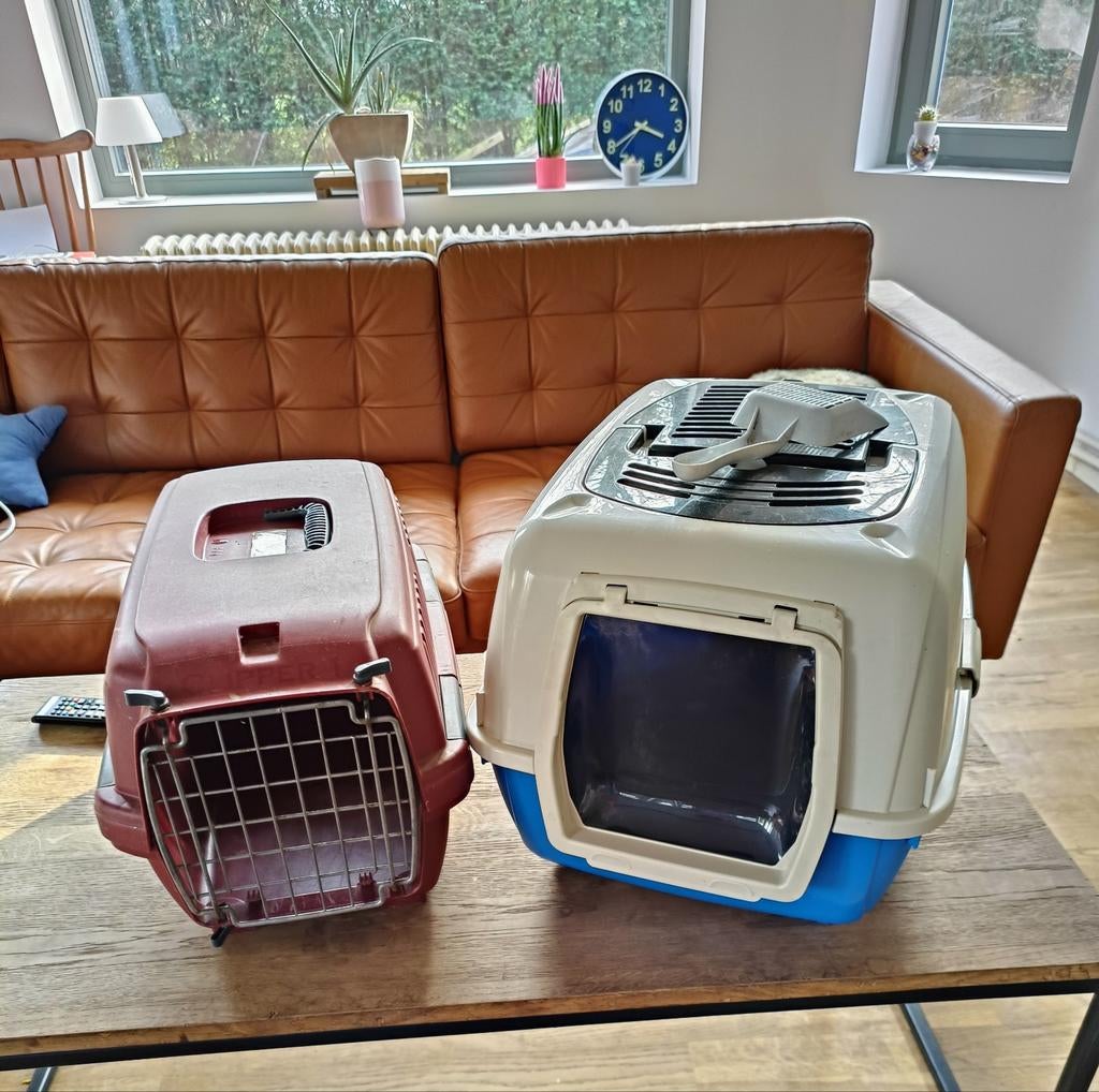Kattenbak en draagmand, Ophalen