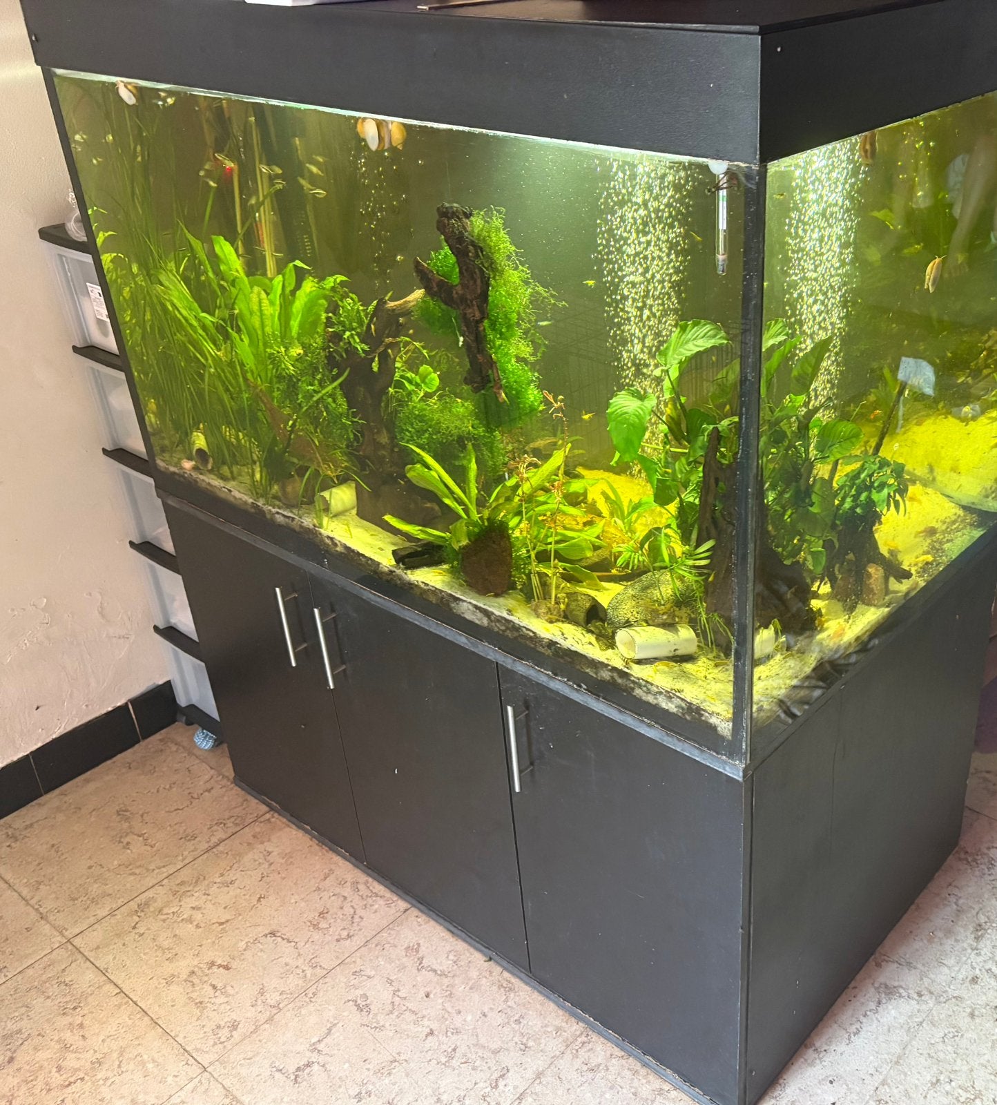 Aquarium 120op70op70 met licht, Ophalen, Zo goed als nieuw