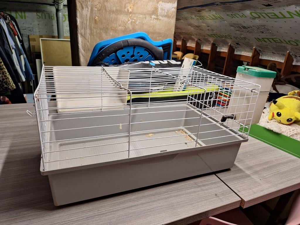 Kooi voor cavia of hamster, Enlèvement, Cage, Cobaye