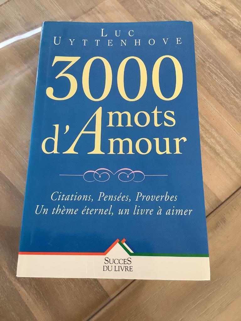 Livre 3000 mots d’Amour de Luc Uyttenhove, Gelezen, Luc Uyttenhove, Ophalen of Verzenden, Overige onderwerpen