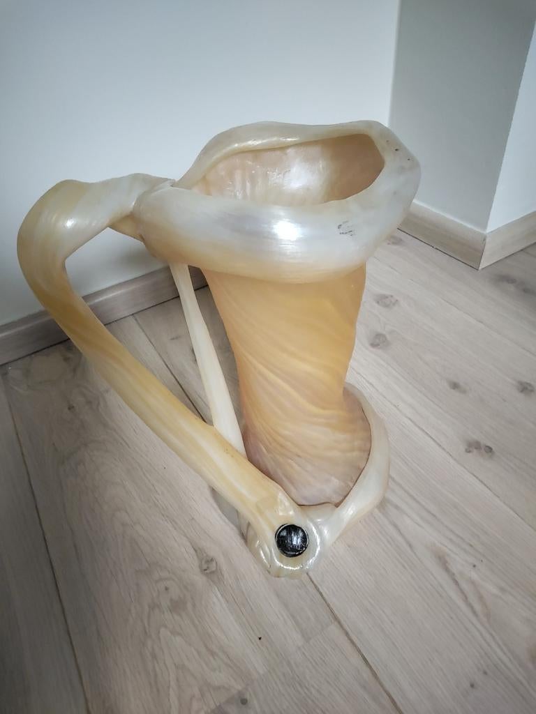 Vase Remo pintus, Enlèvement