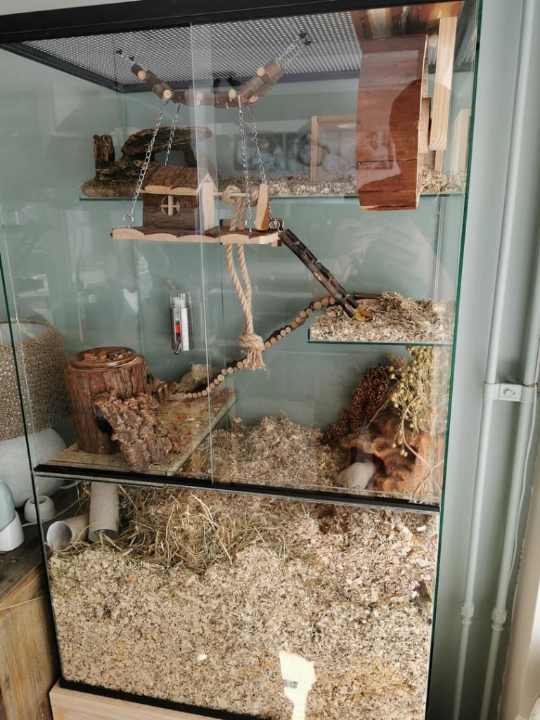 Speelparadijs voor gerbils. Gerbilarium 60x40x100, Dieren en Toebehoren, Ophalen of Verzenden, 90 cm of meer, Hok, Minder dan 75 cm