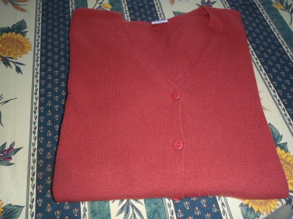 gilet taille 48, Vêtements | Femmes, Enlèvement ou Envoi, Comme neuf, Taille 46/48 (XL) ou plus grande