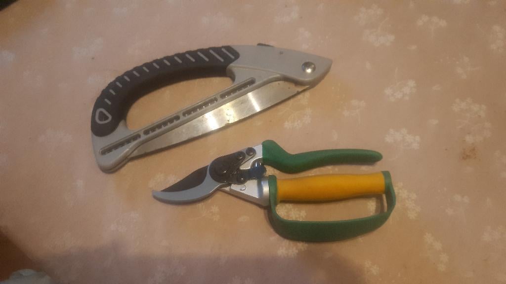 Sécateur + scie, Jardin & Terrasse, Outils à main, Enlèvement ou Envoi