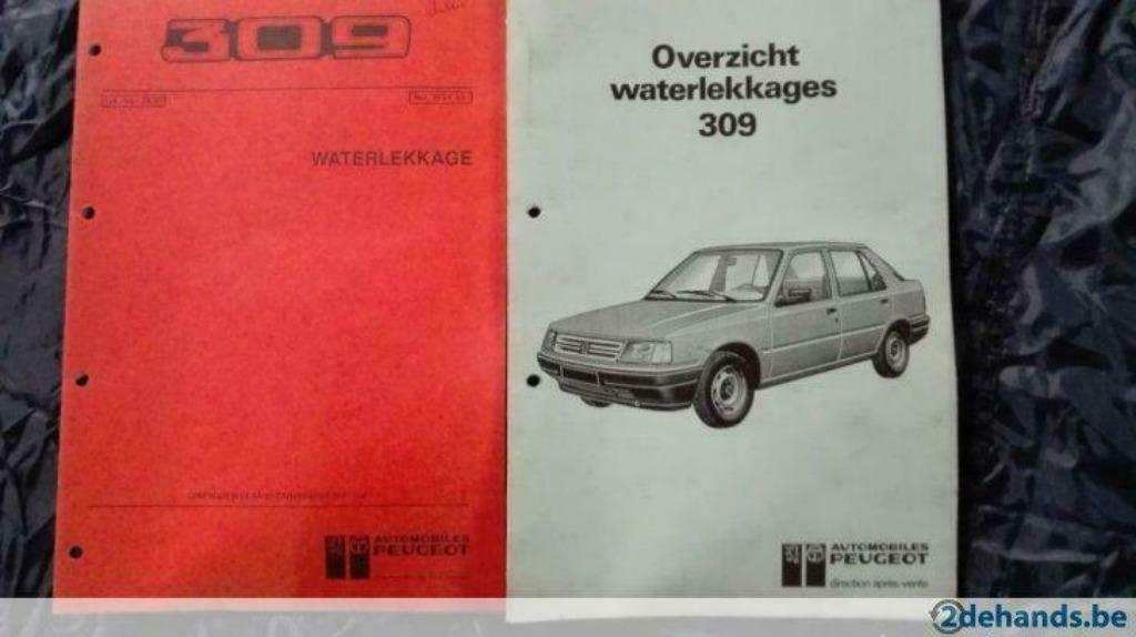 Peugeot 309 - waterlekkages, Enlèvement