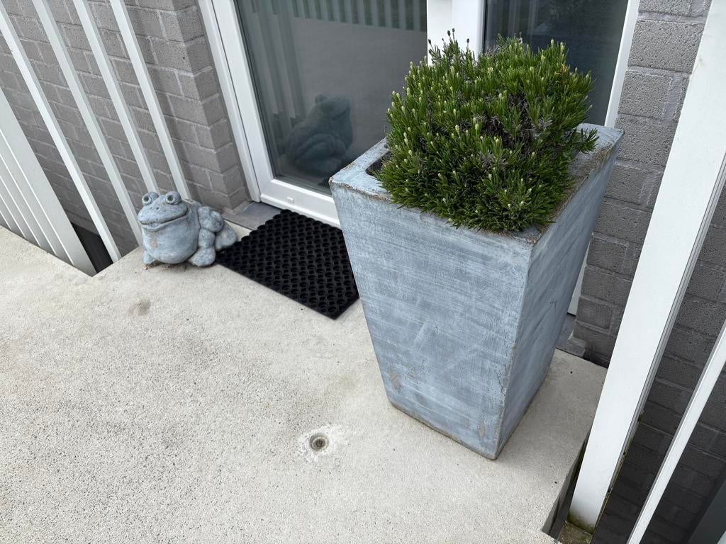zware hoge stenen plantenbak en stenen kikker, Ophalen, Gebruikt
