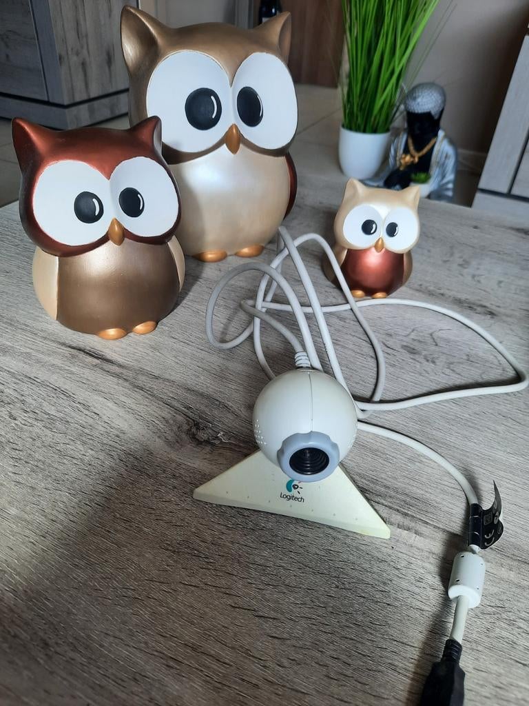 Webcam logitech, Computers en Software, Ophalen of Verzenden, Gebruikt