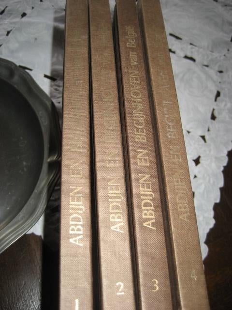 boeken abdijen en begijnhoven, Boeken, Ophalen of Verzenden