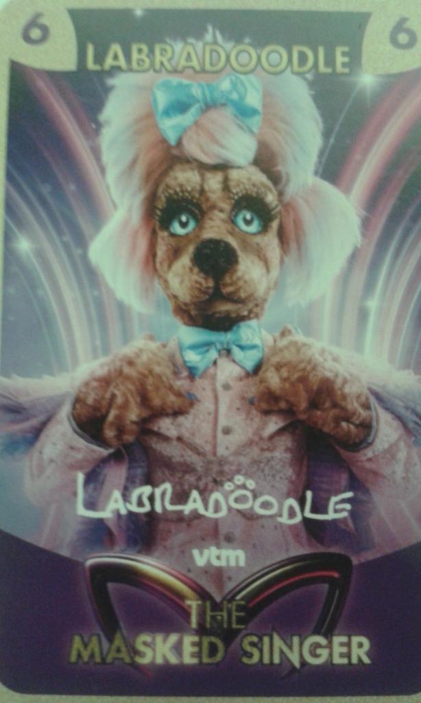 Carte de collection « Labradoodle » Masked Singer 2024, Enlèvement ou Envoi, Neuf