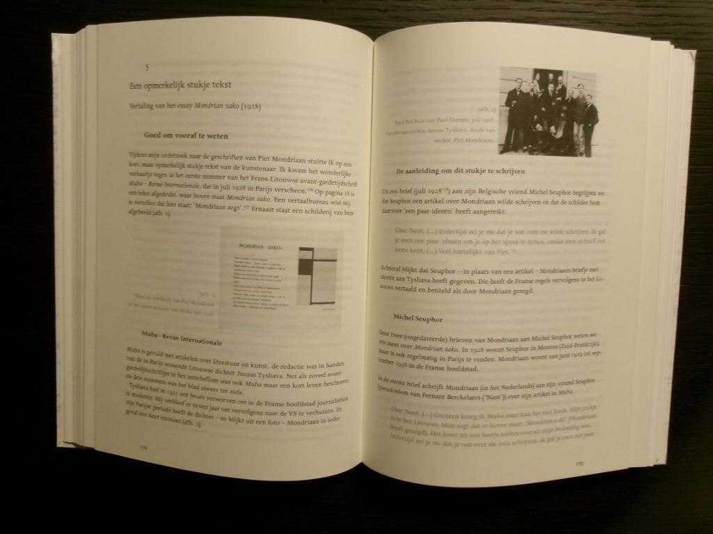 Mondriaan -Schilder met een boodschap-, Boeken, Ophalen of Verzenden