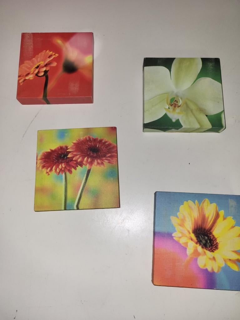 4 petits cadres de 15 cm à motif floral, Enlèvement ou Envoi