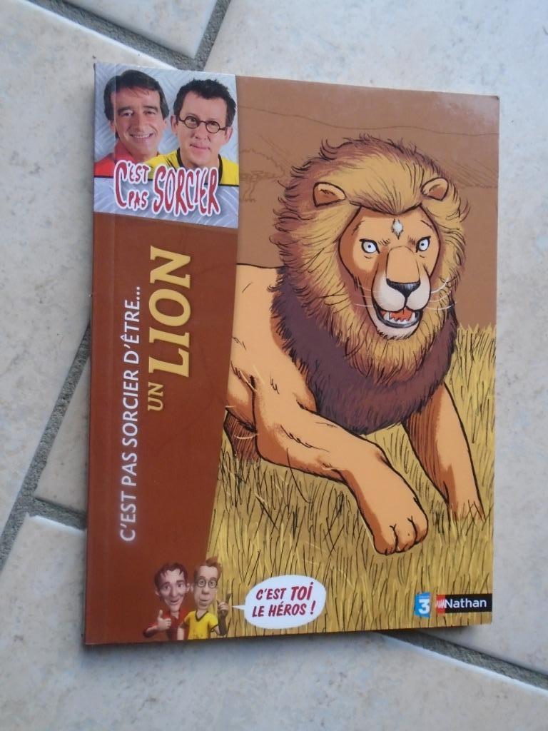 2 LIVRES:"NATHAN"FOLIE JUNIOR, Garçon ou Fille, Enlèvement ou Envoi, JOLY/GILBERT/HEINRICH, 5 ou 6 ans
