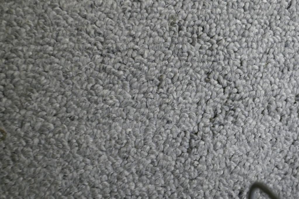 Tapis Bic 100 % laine, Gris, 200 cm ou plus, 150 à 200 cm, Enlèvement