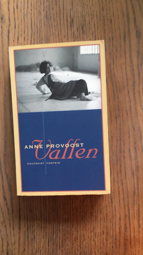 Anne Provoost - Vallen, Boeken, Ophalen, Zo goed als nieuw, Anne Provoost