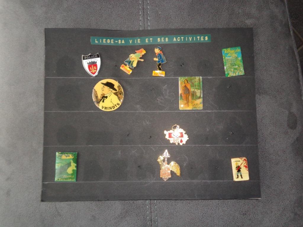 10 pin's divers sur la vie et les activités à Liège, Collections, Broches, Pins & Badges, Enlèvement