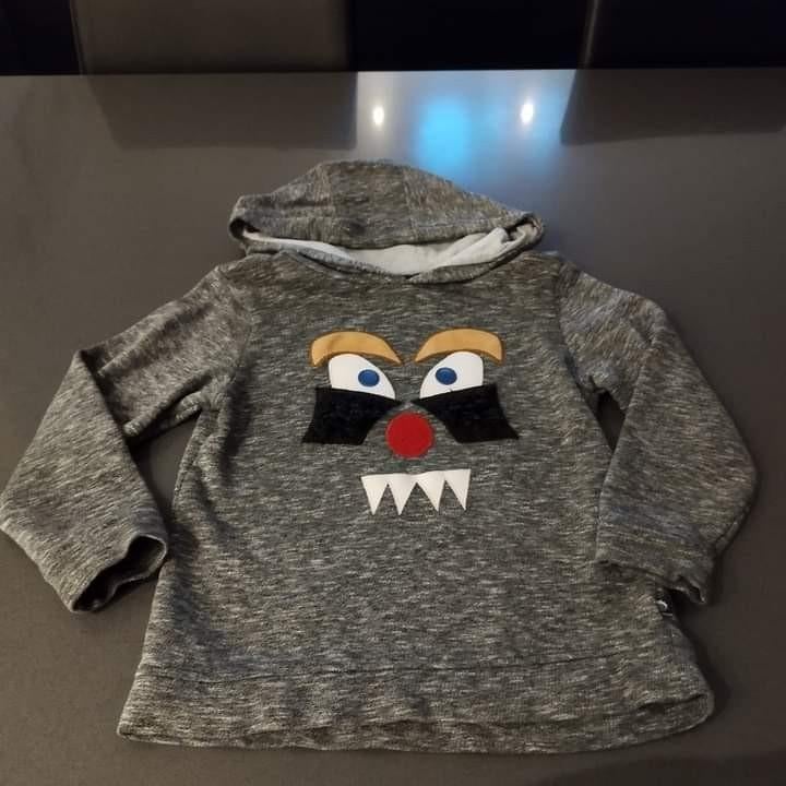Hoodie merk: Filou&Friends Maat 116, Ophalen of Verzenden, Gebruikt