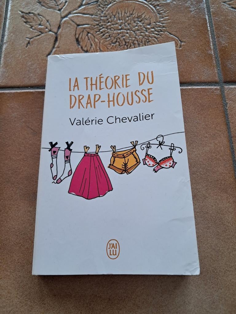 De theorie van hoeslakens - V.Chevalier, Ophalen of Verzenden, Gelezen, Valérie Chevalier