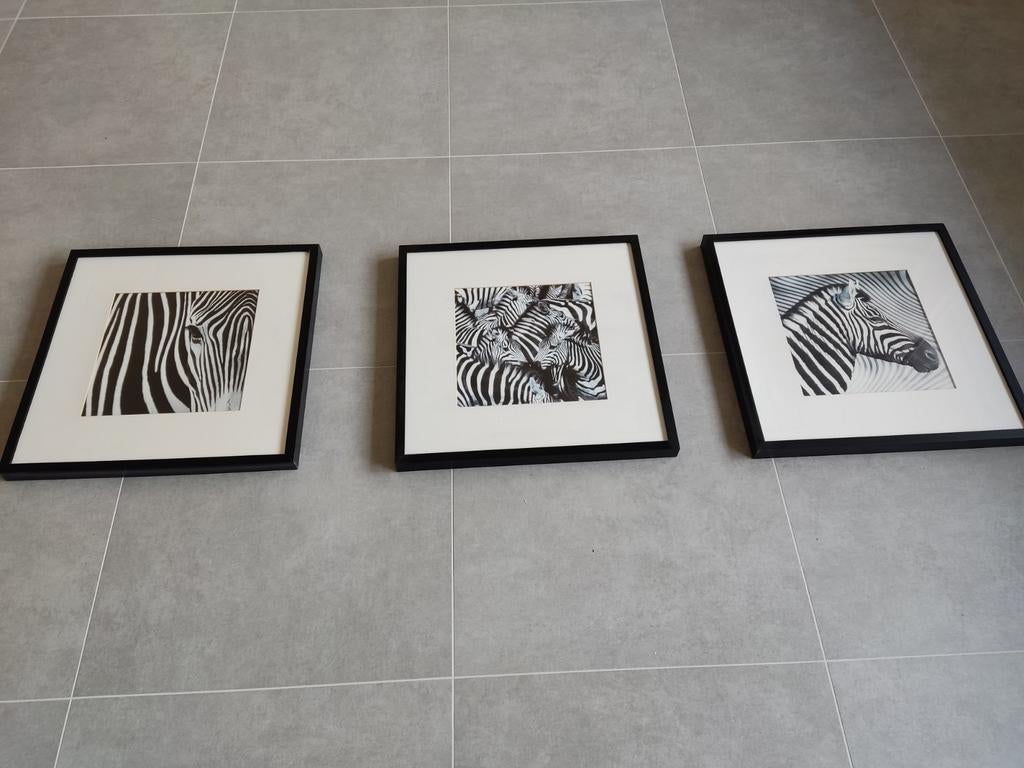 3 tableaux zèbre, Enlèvement, Comme neuf
