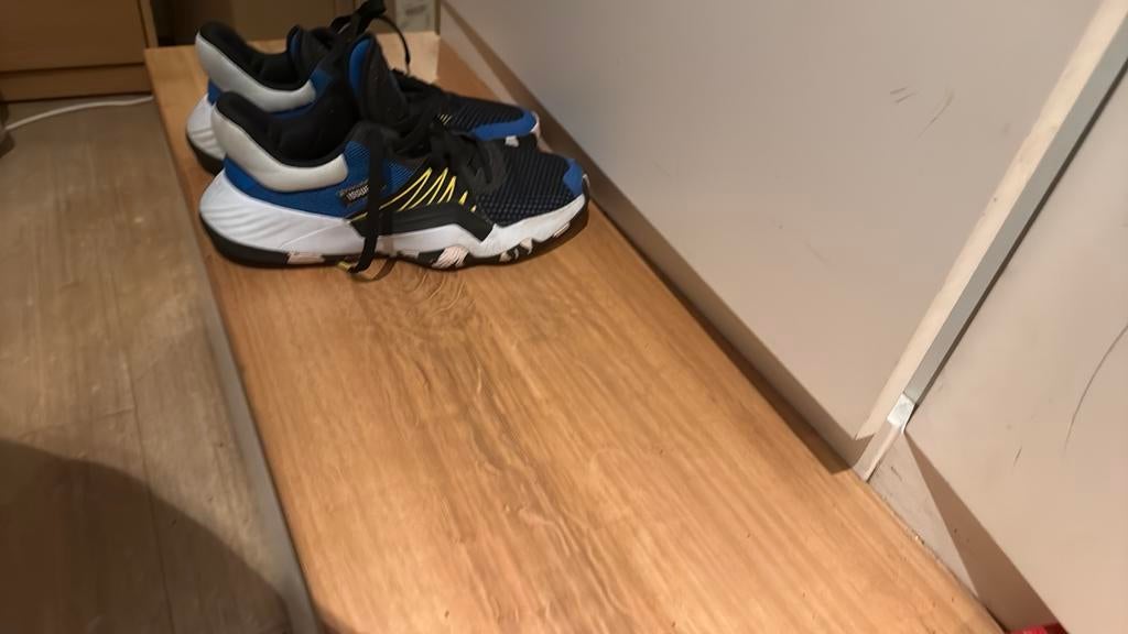 Chaussures de basket NEUVES, Enlèvement ou Envoi, Neuf, Chaussures