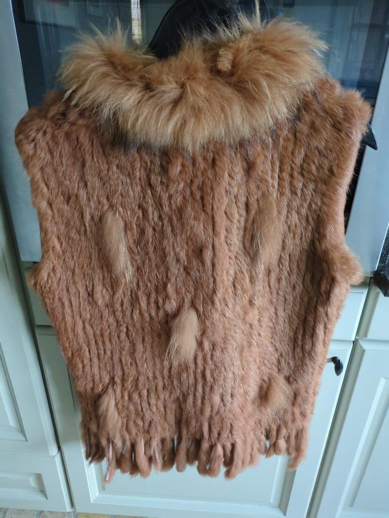 Gilet en fourrure couleur rouille, Vêtements | Femmes, Blousons sans Manches, Neuf, Taille 38/40 (M), Autres couleurs, Enlèvement ou Envoi