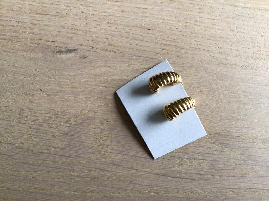 Oorbellen met clips, Ophalen of Verzenden, Zo goed als nieuw