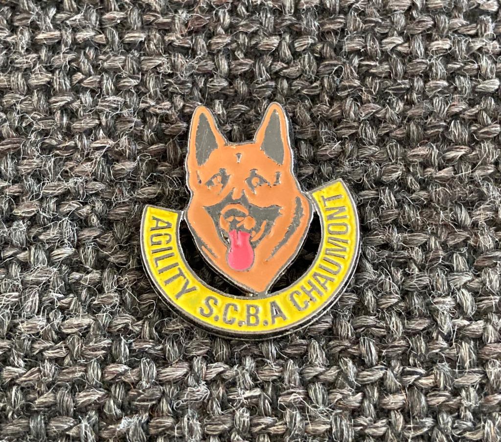 PIN - AGILITY - S.C.B.A. CHAUMONT - HOND - CHIEN - DOG, Envoi, Utilisé, Animal et Nature, Insigne ou Pin's