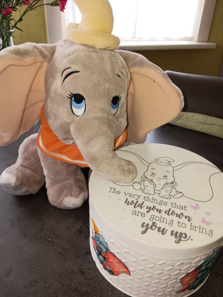 Dumbo knuffel met leuke bewaardoos, Ophalen of Verzenden