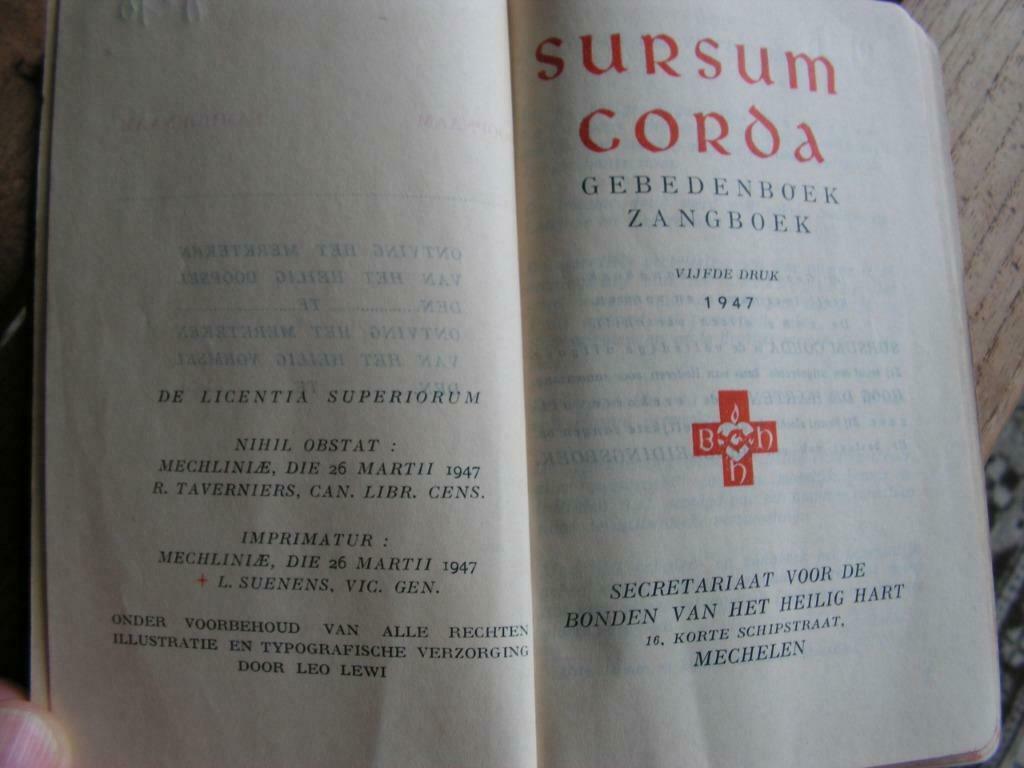 Boek Sursum Corda, Ophalen of Verzenden, Gelezen, Christendom | Katholiek