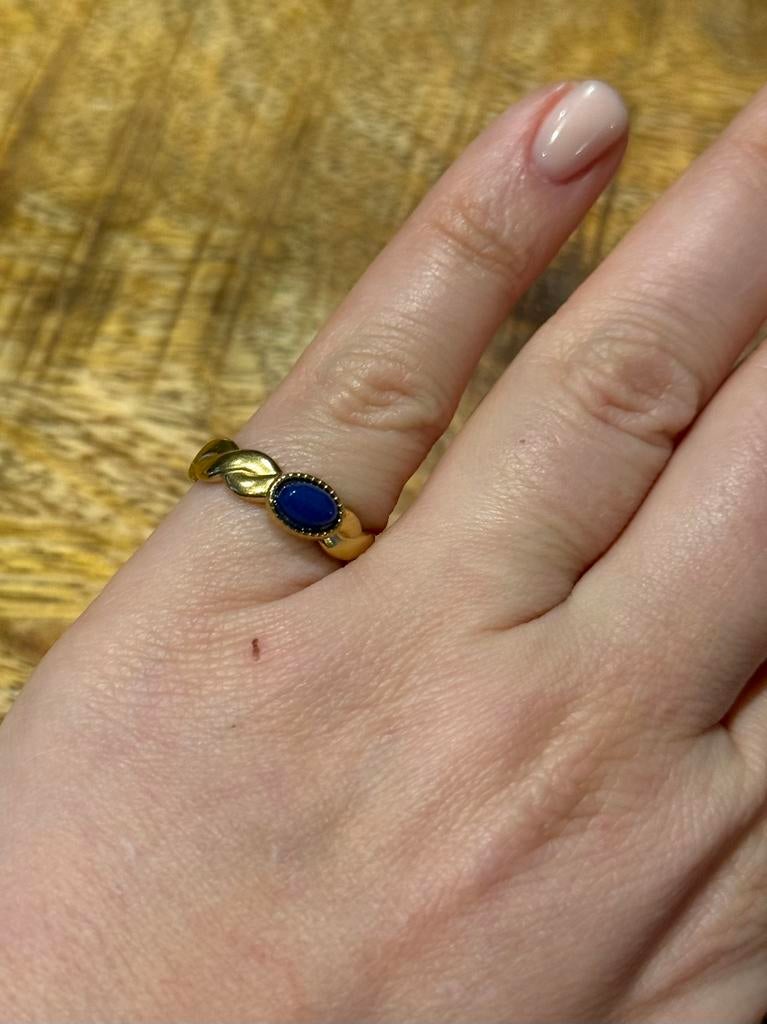 Nieuwe verstelbare RVS ring, Bijoux, Sacs & Beauté, Bagues, Neuf, Enlèvement ou Envoi, Fer ou Acier, Or