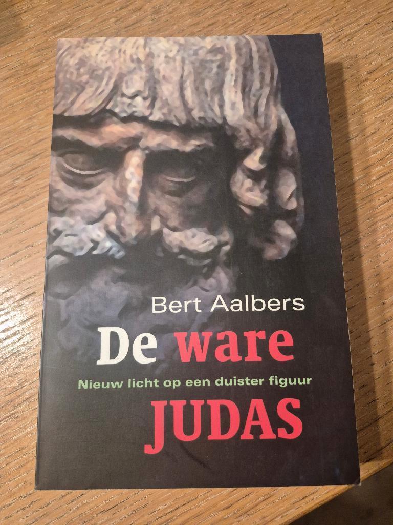 Boek De ware Judas, Boeken, Ophalen of Verzenden, Zo goed als nieuw, Bert Aalbers, Christendom | Katholiek
